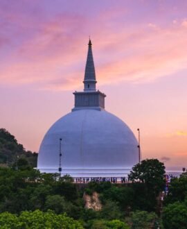 Anuradhapura